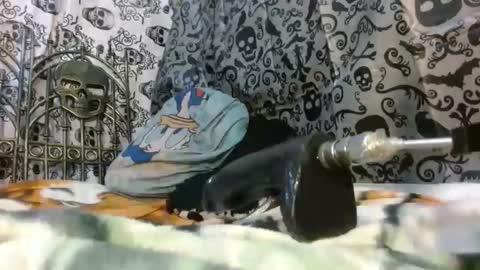 Katty badbitch online show from 24, 10, 2025