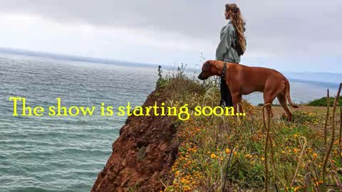 TATUM  ALL MY LINKS  online show from 3, 2, 2026