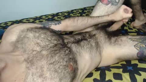 Taylor online show from 17, 1, 2026