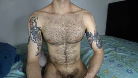 Taylor online show from 12, 2, 2026