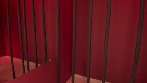 Taylor  online show from 20, 12, 2024