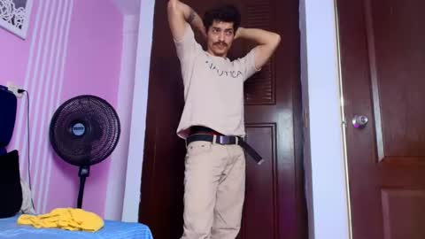 taylor stele online show from 14, 5, 2026