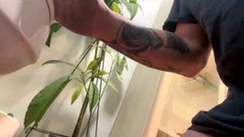 teet69 online show from 10, 3, 2026