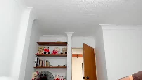 Snapshot of teles10 chatting on 3, 2, 2025 Teles2023 online show from 3, 2, 2025