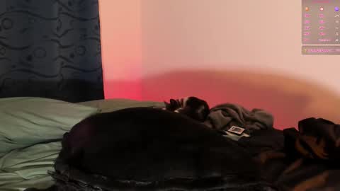 Snapshot of teo_369 chatting on 1, 3, 2025 Teo online show from 1, 3, 2025