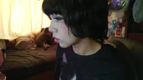 Terra Elowen online show from 9, 4, 2026