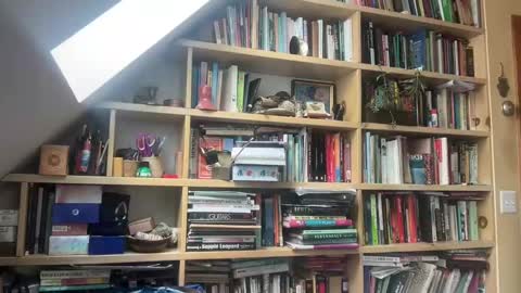 Terra Worship Findomme online show from 3, 3, 2025