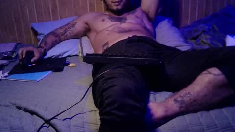 Milo online show from 19, 12, 2024