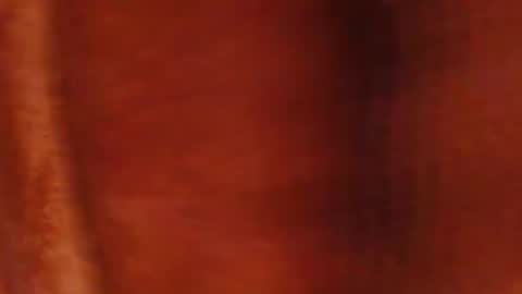 tetuo2 online show from 23, 3, 2026