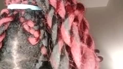 sexi lexi online show from 17, 1, 2025