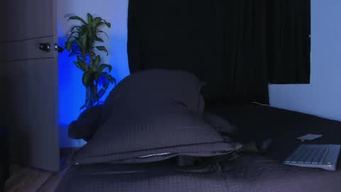 thadeo_king online show from 26, 5, 2026