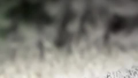 thankyoudaddy1 online show from 15, 3, 2026