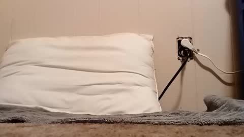 thatb1 online show from 5, 11, 2025