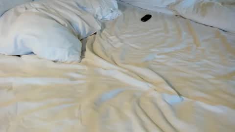 That guy  follow on X online show from 5, 2, 2026