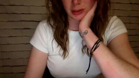 Bear  Bee online show from 31, 5, 2026