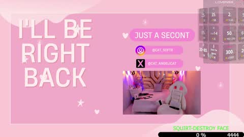 i am Cat  online show from 15, 1, 2025