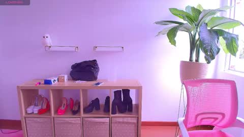 i am Cat  online show from 10, 11, 2025