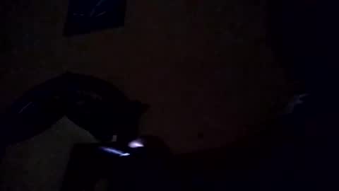 the_invincible_1 online show from 21, 10, 2025