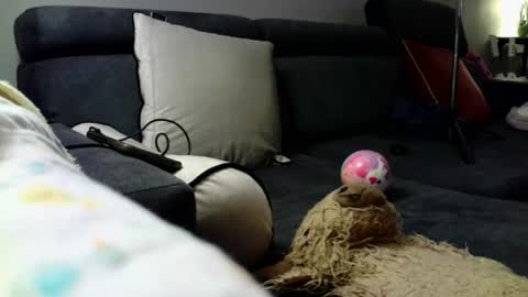 Stephan 34  Cassandra 25 online show from 8, 4, 2026