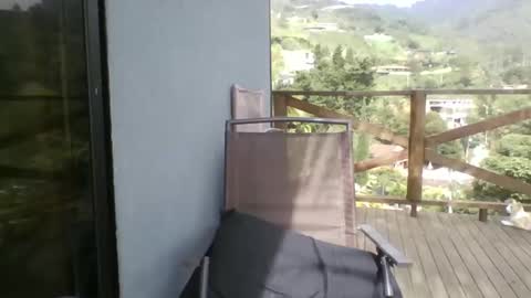 walkers online show from 24, 4, 2026