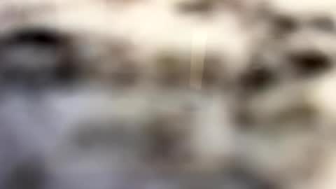 thebodythefeet online show from 4, 1, 2025