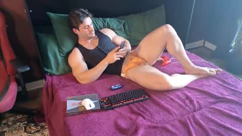 The Stallion online show from 2, 3, 2026