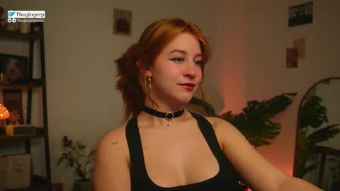   Streaming mostly at    online show from 5, 3, 2026