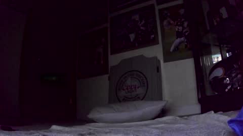 thegreat6268469 online show from 31, 1, 2025