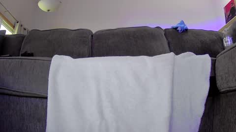 thegreat6268469 online show from 12, 9, 2025