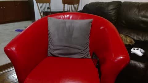 thekodyy online show from 24, 1, 2025