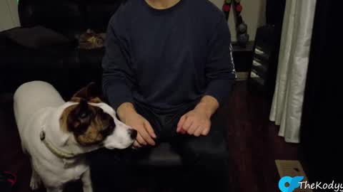 thekodyy online show from 21, 10, 2025