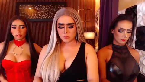 Paula online show from 3, 7, 2026