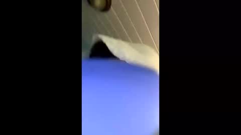 theonlyboi43ver online show from 4, 11, 2025