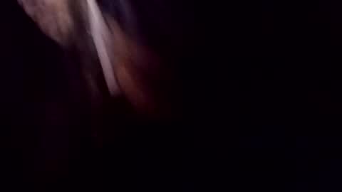 theprofessorxo online show from 29, 9, 2025