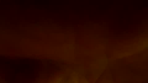 Yoshi online show from 25, 1, 2025