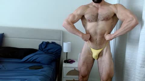 Yoshi online show from 7, 10, 2025