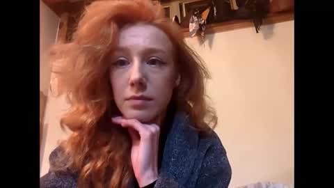 thetinyturtle online show from 8, 3, 2026