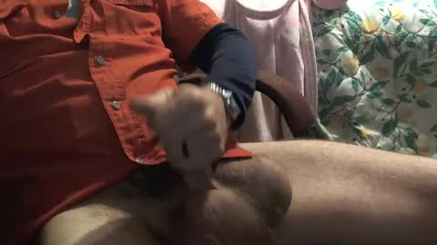 thetnguy online show from 23, 12, 2024