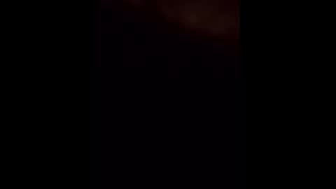 theturtleshead online show from 26, 1, 2025