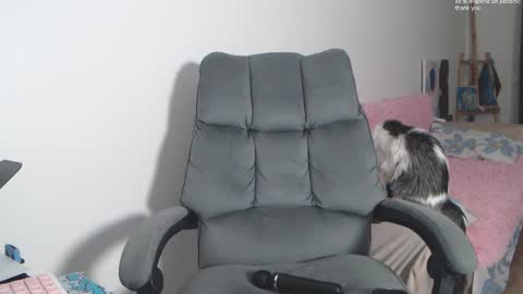 theysaidimcute online show from 19, 2, 2026