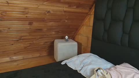 thiago_n_sam online show from 1, 11, 2025