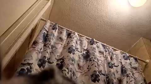 Thickamber online show from 20, 3, 2026