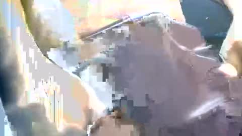 thickbong online show from 11, 10, 2025