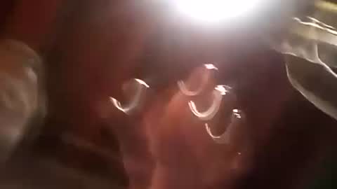 thickdick513 online show from 21, 12, 2024