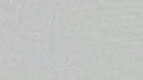 thicknickdive online show from 3, 4, 2026