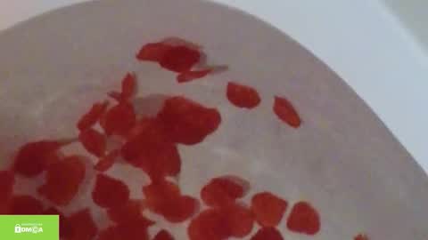 Snapshot of tia_j chatting on 12, 10, 2025 tia_j online show from 12, 10, 2025