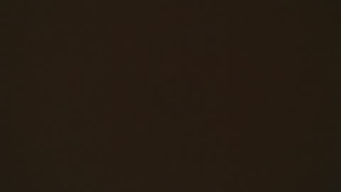 LIA online show from 2, 4, 2026