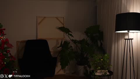 Tifa online show from 12, 12, 2024