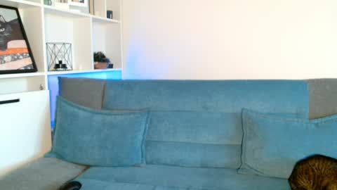 tiff online show from 16, 4, 2026