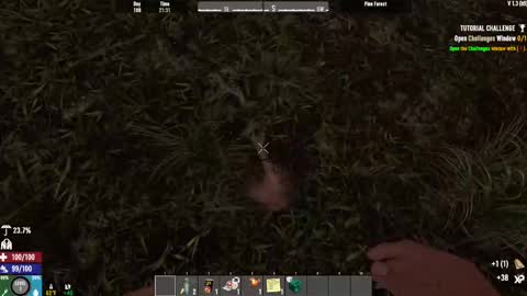 TimLooking online show from 15, 2, 2025